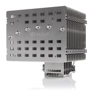 Noctua NH-P1 (Image via Amazon)